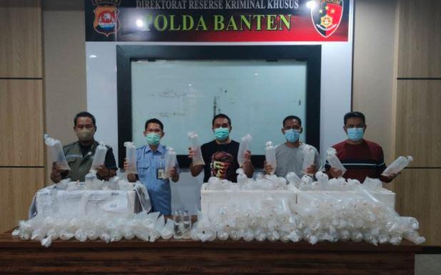 Polda Banten Gagalkan Penyelundupan 34.992 Benih Lobster