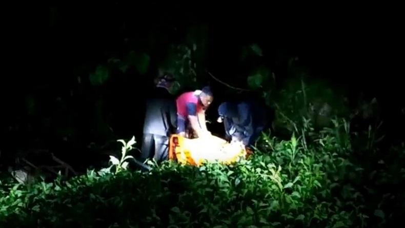 title Ngeri, Bocah di Mamuju Tengah Tewas Diterkam Buaya Ngeri, Bocah di Mamuju Tengah Tewas Diterkam Buaya