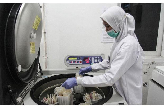 PMI Yogya Segera Tambah Mesin Plasma Konvalesen 