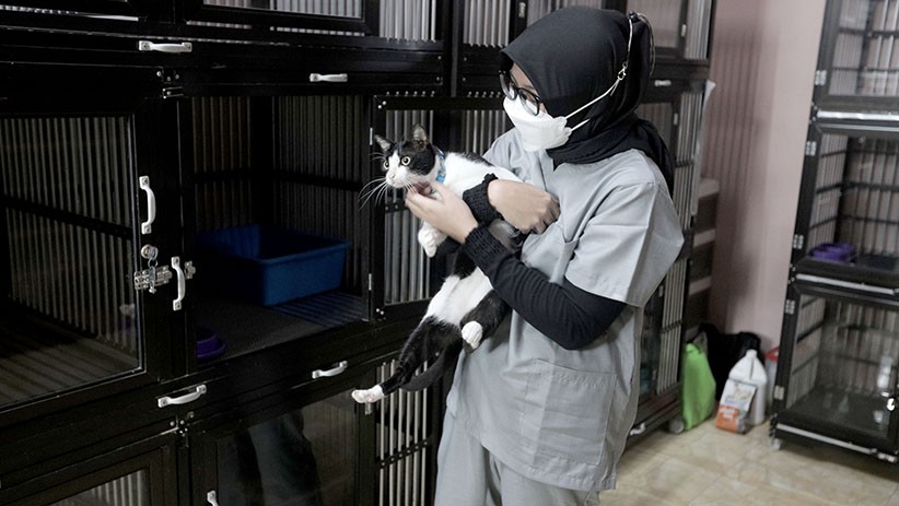 Imbas Larangan Mudik, Penitipan Hewan Peliharaan Turun Drastis - Bagian 3