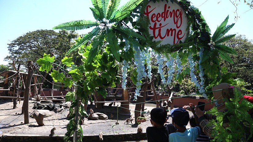 Serunya Memberi Makan Satwa di Kebun Binatang Surabaya - Bagian 3