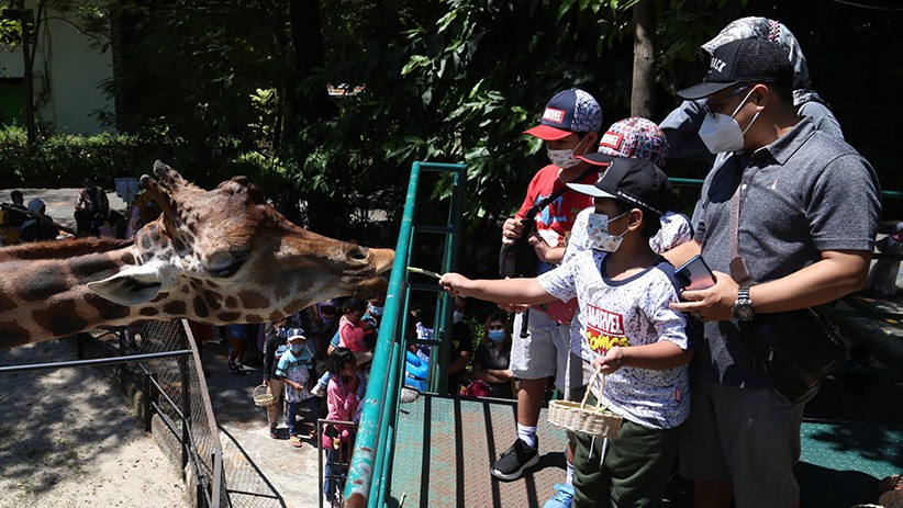 Serunya Memberi Makan Satwa di Kebun Binatang Surabaya - Bagian 2