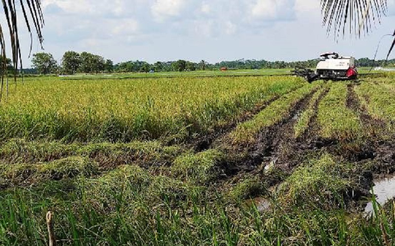 Politisi PKB Sumsel Dukung Penambahan Penyuluh Pertanian