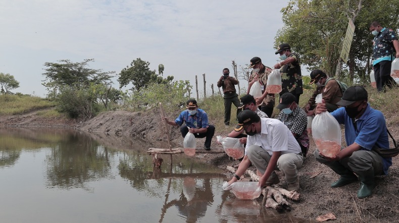 Ribuan Benih Ikan Nila Ditebar di Embung Wana Amarta Blora 