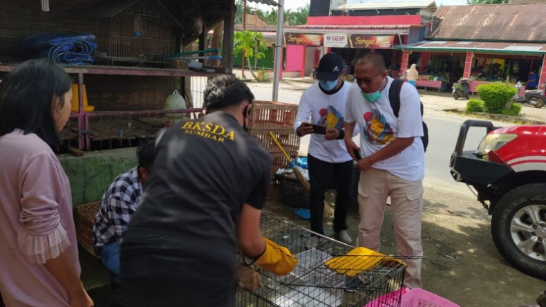 Warga Agam Serahkan Kukang yang Ditemukan di Tiang Listrik 