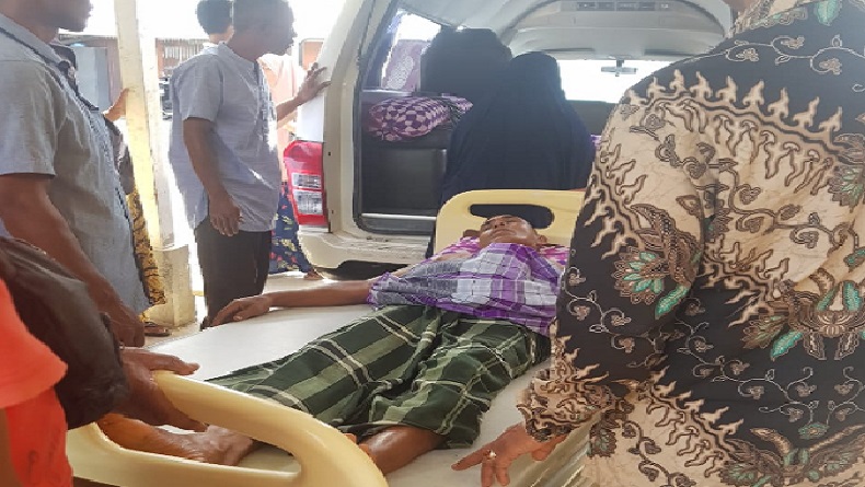 Petani di Pidie Aceh Kritis usai Diinjak Gajah Liar