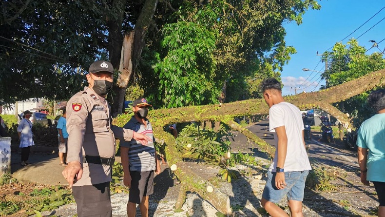 Pagi hingga Siang, Seluruh Wilayah Kepulauan Sitaro Hujan, Waspada Pohon Tumbang