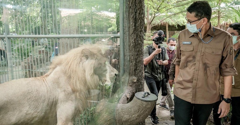 Sandiaga Uno Upayakan Langkah Pemulihan bagi Pelaku Wisata Kebun Binatang