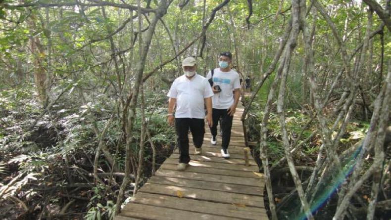 Promosikan Babel, Gubernur Ajak 2 Influencer Masuk Hutan Mangrove