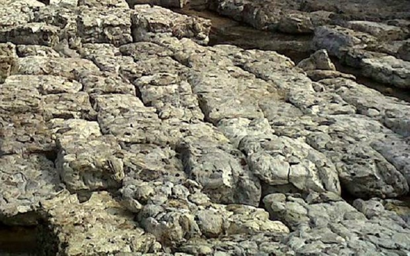 Warga Keluhkan Kerusakan Jalan dan Bau Busuk Pabrik Karet di Muba