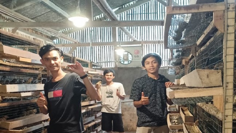 Calon Peserta Program Petani Milenial Digembleng di Peternakan Puyuh Sukabumi