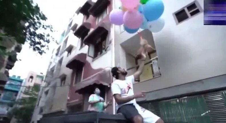 Warganet Geram, YouTuber Ini Ikat Anjing Pakai Balon hingga Terbang