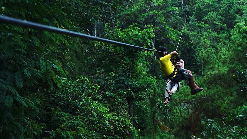 Menikmati Keindahan Hutan Pinus Kawasan Wisata Dante Pine - Bagian 2