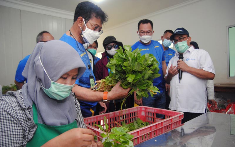  Mentan Syahrul Yasin Limpo Panen Melon di Agribusiness and Teknologi Park IPB University - Bagian 2