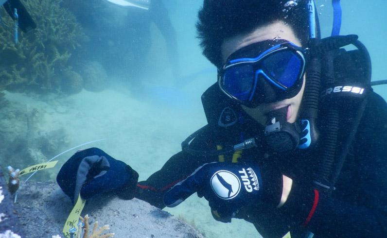 Sensasi Menikmati Karimunjawa sambil Memperbaiki Terumbu Karang 