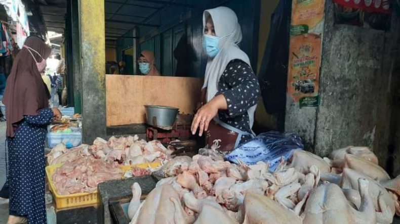 Pascalebaran, Harga Daging Ayam di Solo Mendekati Normal 