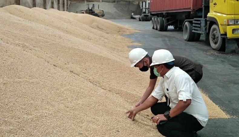 Pasokan Aman, Harga Kedelai di Belitung Terpantau Stabil