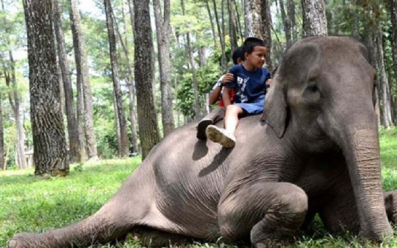 Punti Kayu Palembang Dibuka Kembali dengan Pembatasan Jumlah dan Waktu Kunjungan 