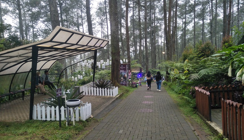 Kunjungan Wisatawan ke Lembang Masih di Bawah Carrying Capacity 50 Persen
