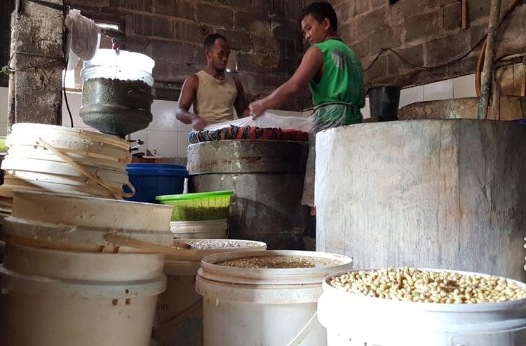 Harga Kedelai Catat Rekor Termahal, Perajin Tahu: Kami Sulit Naikkan Harga Jual