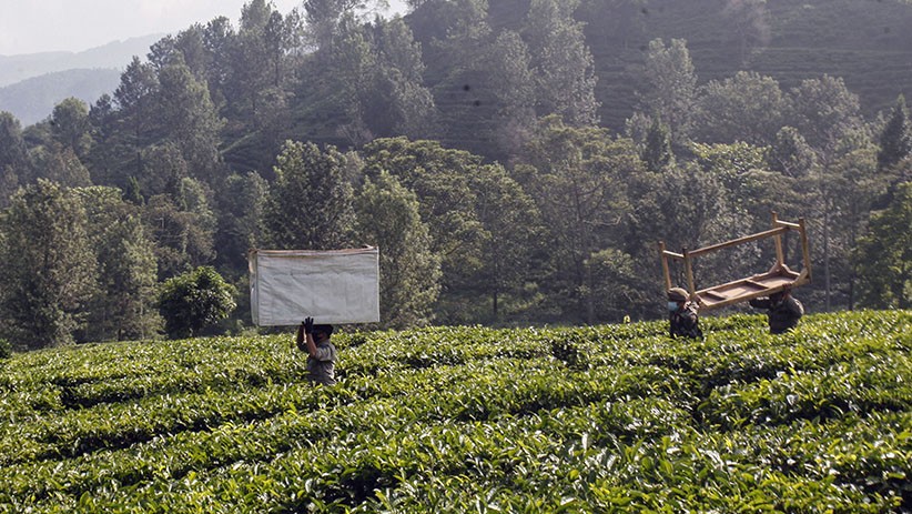 Tempat Berkerumun, Ratusan Lapak PKL di Puncak Bogor Dibongkar - Bagian 2