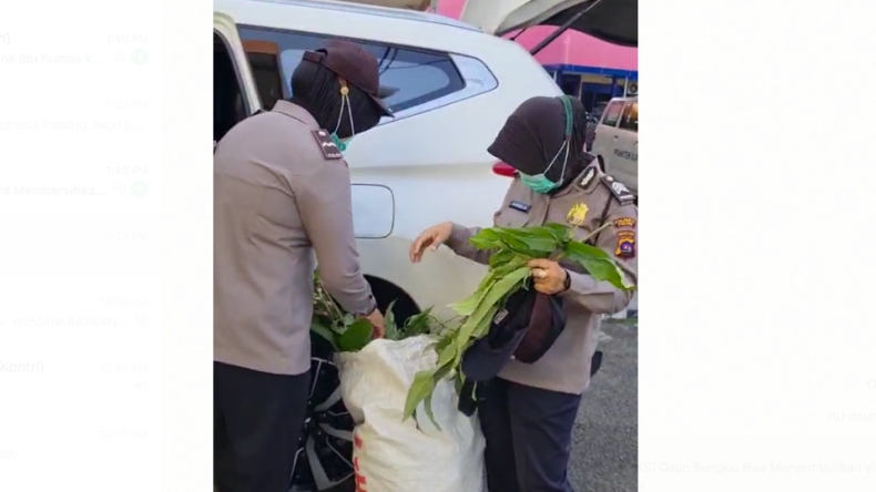 Muncul Video Personel Polresta Padang Bagikan Daun Sungkai untuk Obati Covid