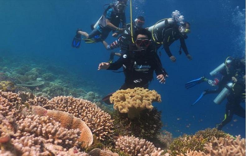 Ustaz Abdul Somad Didaulat Jadi Duta Wisata Religi Wakatobi