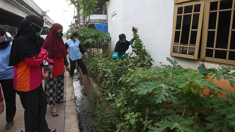 Antisipasi Wabah DBD, Tim Jumantik Kelurahan Cipinang Melayu Sosialisasikan 3M - Bagian 1