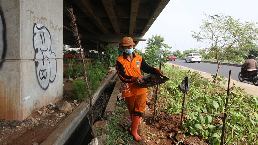 Lahan Kosong Kolong Tol Becakayu Dimanfaatkan untuk Tanam Sayuran dan Buah - Bagian 2