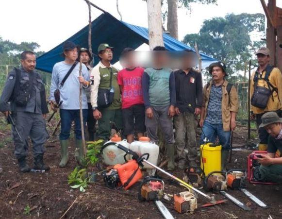 4 Pelaku Pembabatan Hutan Taman Nasional Kerinci Seblat Diduga Habisi