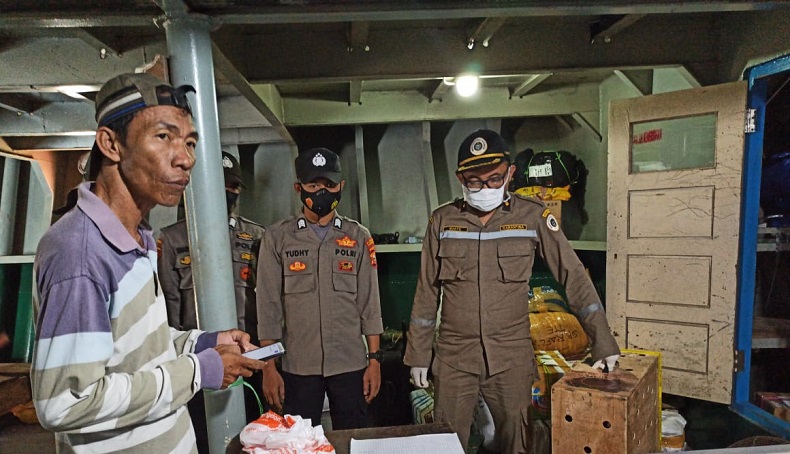 Terpapar Flu Burung, Unggas Selundupan dari Manado Ditolak Masuk Ternate