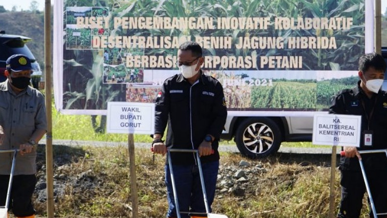 title Wabup Optimistis Gorontalo Utara Jadi Sentra Industri Benih Jagung, 50 Hektare Lahan Disiapkan  Wabup Optimistis Gorontalo Utara Jadi Sentra Industri Benih Jagung, 50 Hektare Lahan Disiapkan