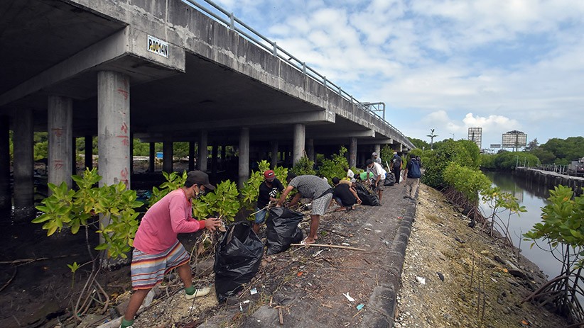 Hari Lingkungan Hidup, Sampah di Kawasan Mangrove Dibersihkan Nelayan Wanasari - Bagian 1