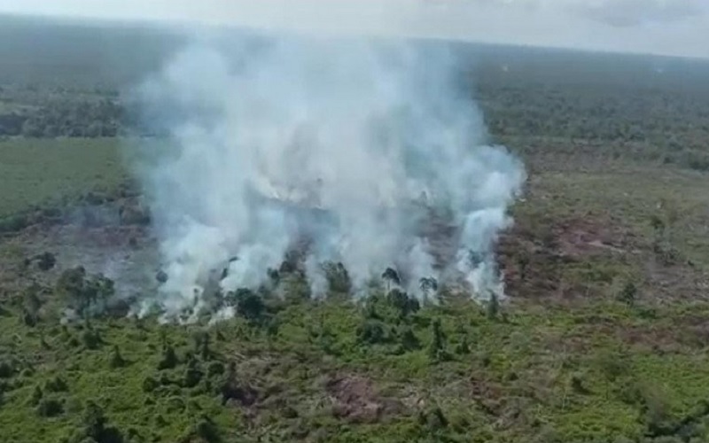 50 Personel Polda Jambi Diterjunkan Padamkan Api di Parit Pudin Tanjab Barat