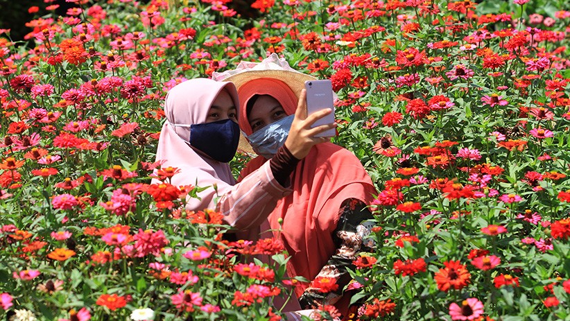 Wisata Taman Bunga Mulai Bangkit di Tengah Pandemi - Bagian 1