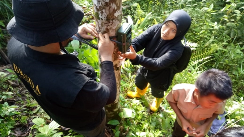Ini Sosok Makhluk Misterius yang Bau dan Berbulu Versi BKSDA Agam