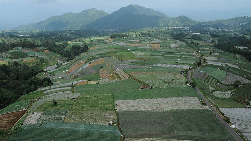 Melihat Potensi Wisata Lereng Gunung Sumbing - Bagian 2