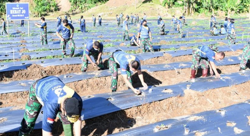 Danlantamal Manado Pimpin Penanaman Bibit Cabai di Lahan Ketahanan Pangan