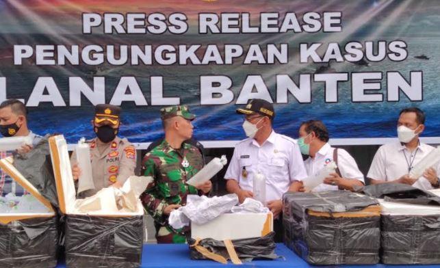 TNI AL Gagalkan Penyelundupan Puluhan Ribu Benur dari Pelabuhan Merak ke Vietnam