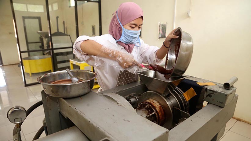 Produksi Cokelat di Tengah Kebun Kakao Jadi Daya Tarik Wisatawan - Bagian 2