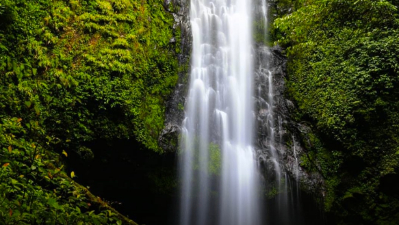 Wah, Pasaman Punya 9 Air Terjun Alami di Dalam Hutan