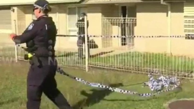 title Ngeri, Perempuan Berusia 30 Tahun Tewas Diserang Kawanan Anjing Galak Ngeri, Perempuan Berusia 30 Tahun Tewas Diserang Kawanan Anjing Galak