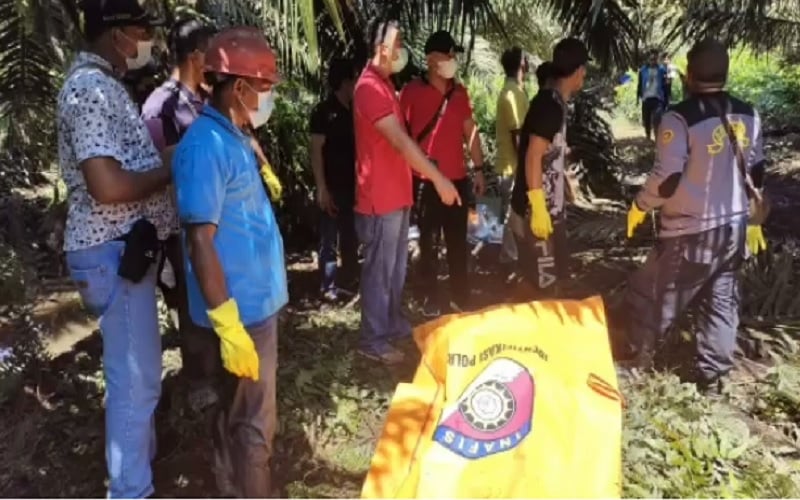 title Suami di Kotim Tusuk Wajah Istri 11 Kali hingga Tewas, Mayat Dibuang ke Parit Suami di Kotim Tusuk Wajah Istri 11 Kali hingga Tewas, Mayat Dibuang ke Parit