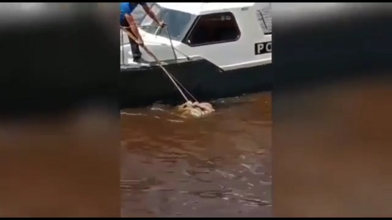 Mayat Tak Dikenal dengan Kalung Emas Ditemukan Mengapung di Sungai Mentaya 