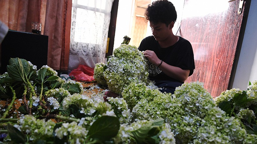 Presiden Jokowi Targetkan 30 Juta Pelaku UMKM Manfaatkan E-Commerce - Bagian 2