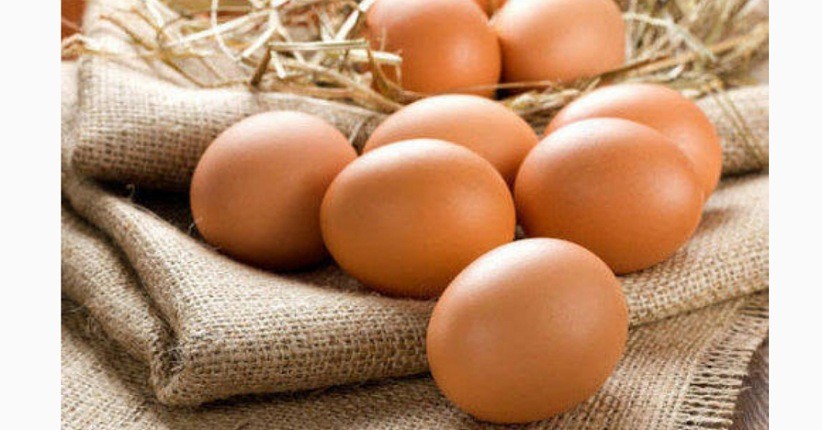 Tips Pilih Telur yang Aman Dikonsumsi Sehari-hari, Cage Free Lebih Bernutrisi