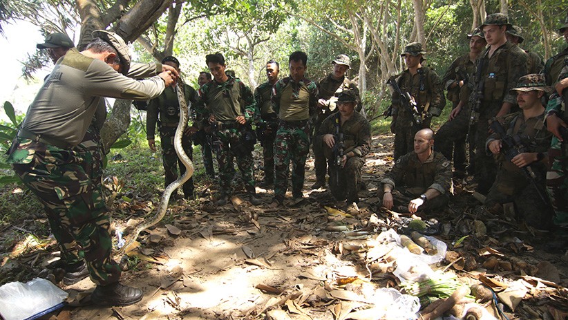 Begini Cara Marinir TNI AL Ajarkan Tentara AS Bertahan di Hutan - Bagian 1