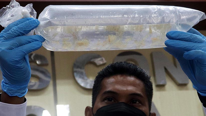 Penyelundupan 30.000 Ekor Benih Lobster, Dua Warga Trenggalek Diamankan - Bagian 1