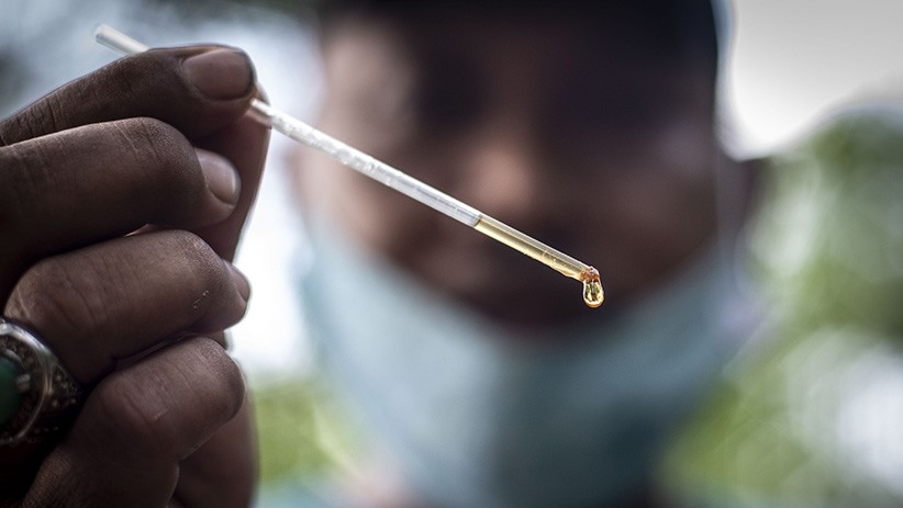 Budi Daya Lebah Madu di Hutan Kota Srengseng - Bagian 2