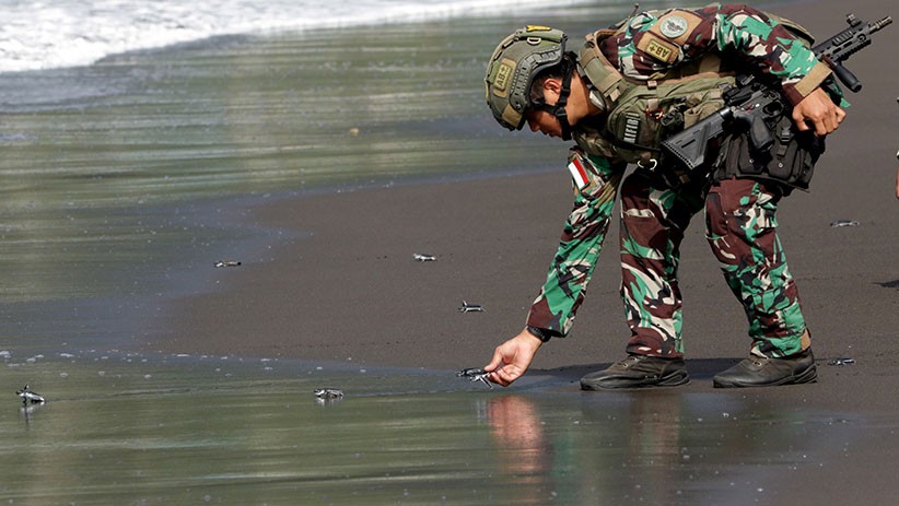 Tutup Latihan Bersama, Marinir Indonesia dan Amerika Lepas Tukik ke Laut  - Bagian 1